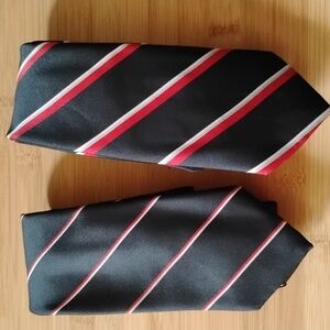 Men's Neckties (2)